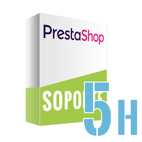 Bolsa de 5 hora para servicio técnico y de soporte para reparación de tiendas Prestashop